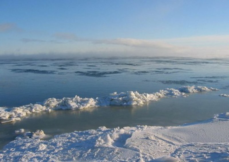 الجليد في بحر بيرنغ تراجع إلى حده الأدنى في 5500 عام الجليد في بحر بيرنغ تراجع إلى حده الأدنى في 5500 عام
