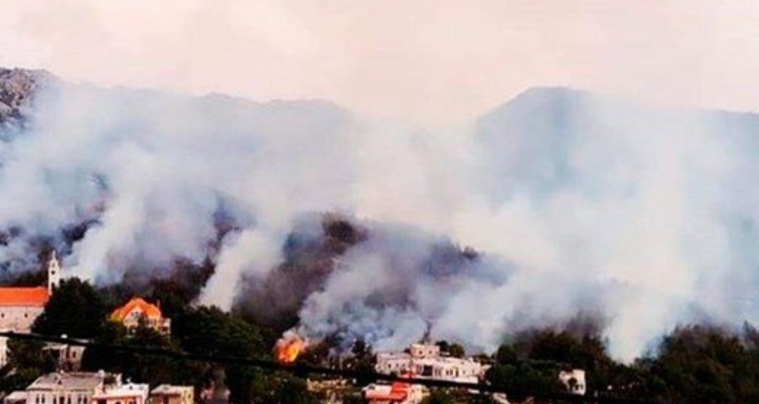 إخماد حريق غابة بريا في سقي رشميا بعدما تسبب بخسائر كبيرة