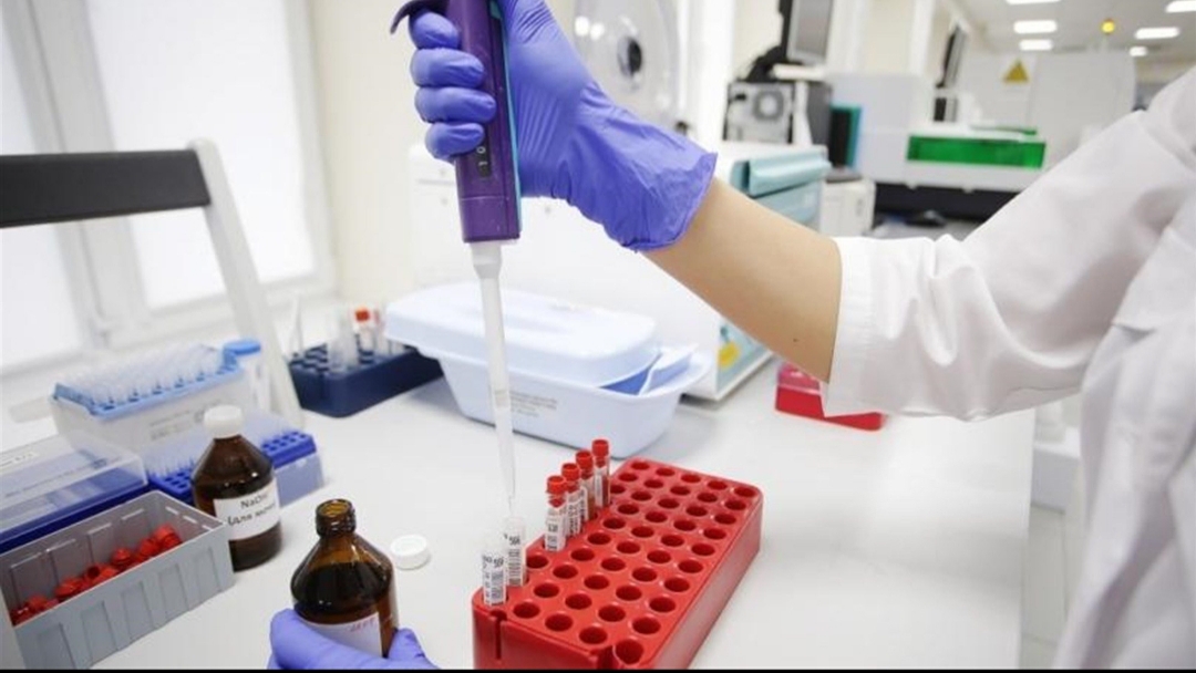 دراسة تكشف أين نشأ فيروس كورونا