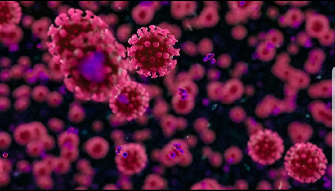 خلية الازمة في القبيات: نتيجة فحص رقيبة في الجيش إيجابية وهي ملتزمة بالحجر خلية الازمة في القبيات: نتيجة فحص رقيبة في الجيش إيجابية وهي ملتزمة بالحجر