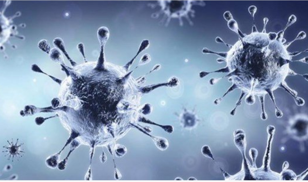 سرٌّ جديد عن كورونا! سرٌّ جديد عن كورونا!