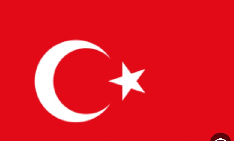 وزير الخارجية التركي: وزير الخارجية التركي: